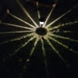 Meet your Posher, Hilario